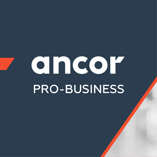 ANCOR PRO-Business: Бренд работодателя: инструкция по применению