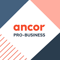 ANCOR PRO-Business: Эффективное управление полевым персоналом в странах СНГ
